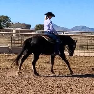 Meet your Posher, Caitlin